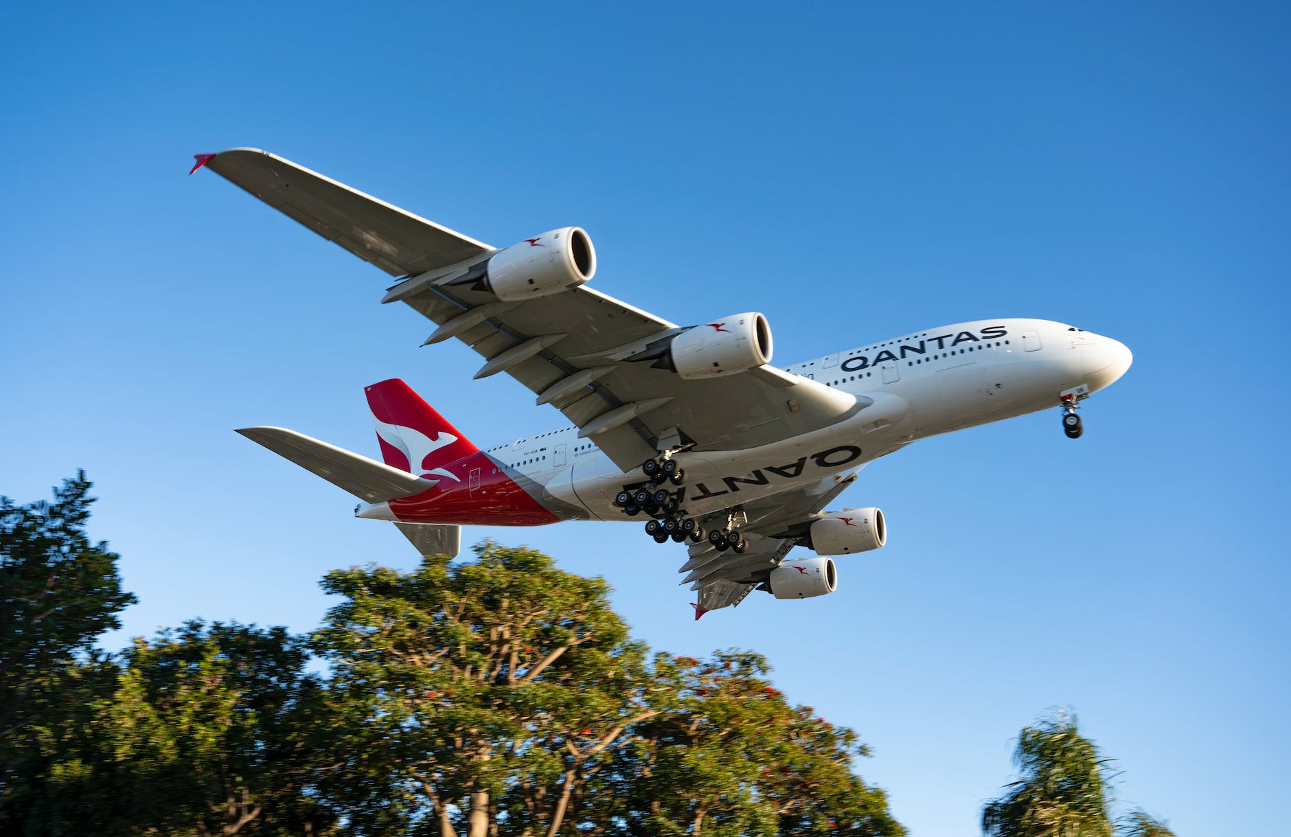 Qantas Club Membership Renewal for AA Flyers: A Steal at $260